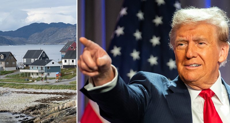 Greenland PM seeks independence following Trump acquisition comments