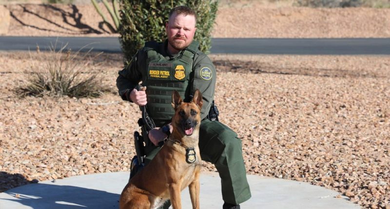 Gun used in Vermont border agent shootout linked to double murder suspect, prosecutors say