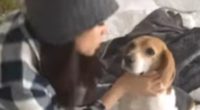 Heartbreak for the Sussexes as Meghan's pet dog dies