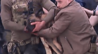 Police officers carrying an injured police dog.