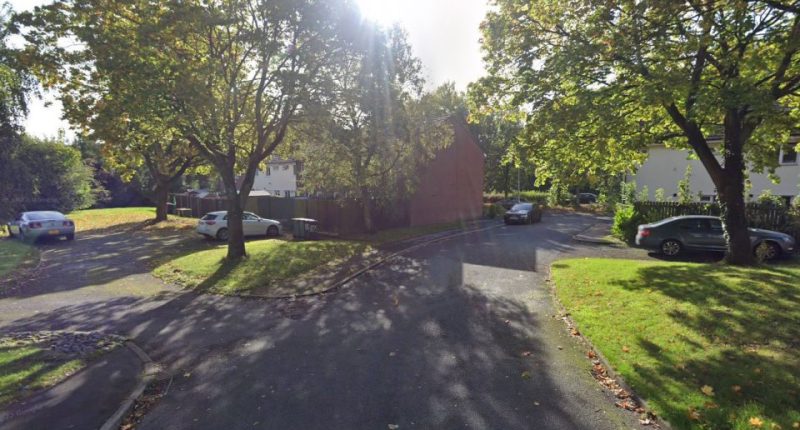Residential street with parked cars and trees.
