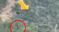 Video still of a skydiver falling to the ground.
