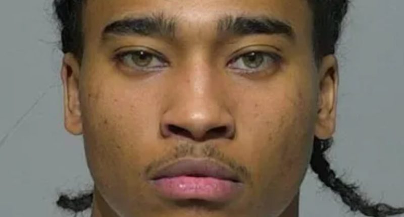 'Hot Felon' sets internet ablaze 'after leading cops on armed chase'
