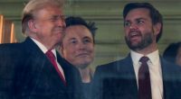 How Democrats can turn Trump’s ‘DOGE’ against him