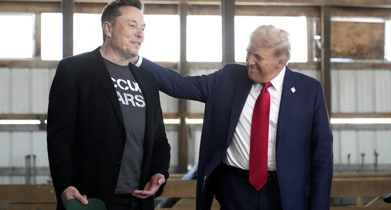 How Elon Musk became the most powerful unelected man in the world