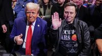 How Trump administration is begging federal workers to take 'buyout'