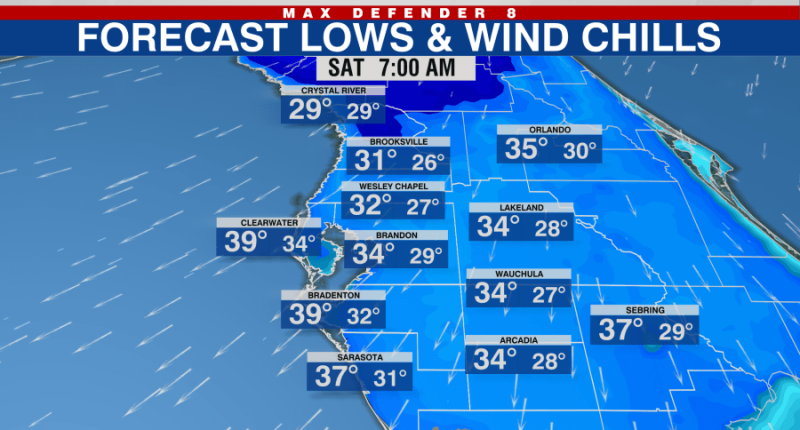 How cold will it be for Gasparilla?