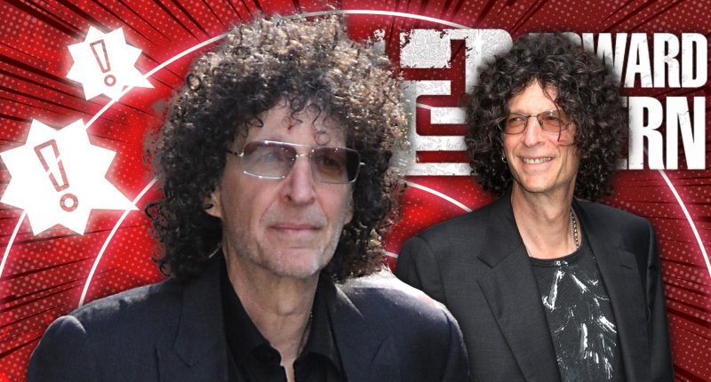 Howard Stern Owes His Massive Fortune To Something Revolting