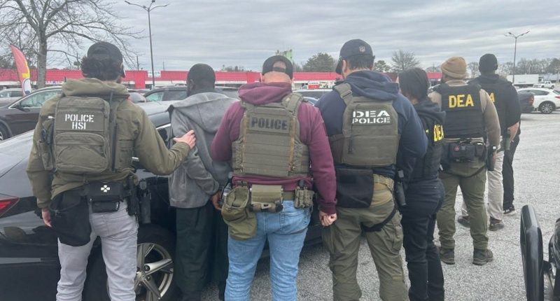 ICE arrests nearly 1,000 illegal aliens during sixth day of Trump administration