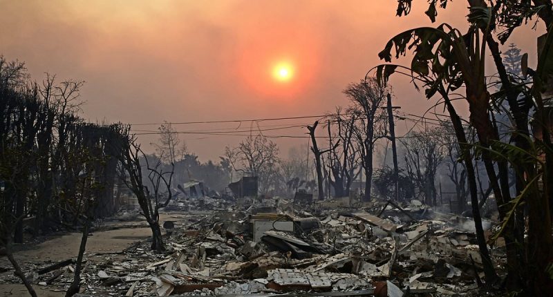 I'm with the world's oddest collection of refugees fleeing the LA fire