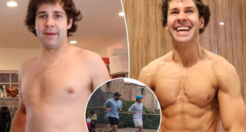 Influencer David Dobrik reveals ripped body transformation after 2-year YouTube hiatus