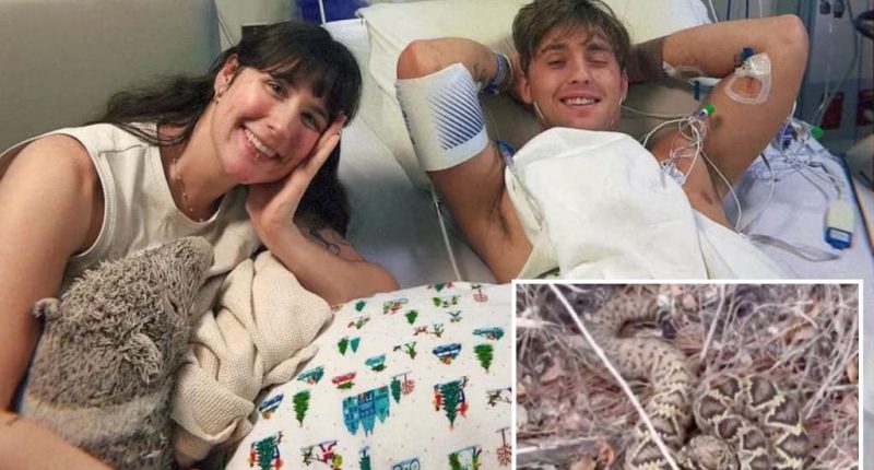 Influencer David Humplett livestreams after diamondback rattlesnake bite