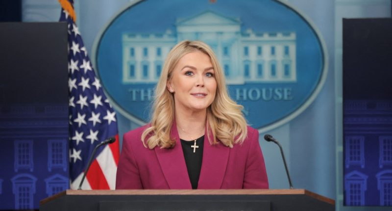 White House Press Secretary Karoline Leavitt at a press briefing.