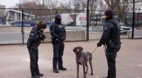 Secret Service officers with a K-9 unit.