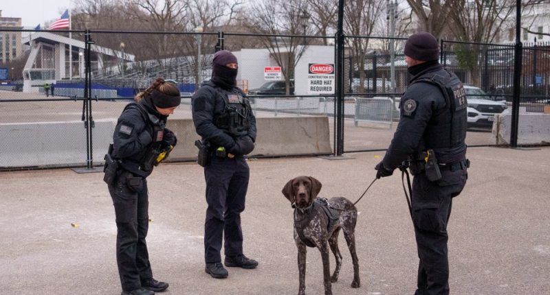 Secret Service officers with a K-9 unit.