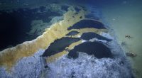 Underwater image of a brine pool in the Gulf of Mexico.