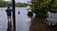 Investigating zone X in Hillsborough County: Was severe flooding a manmade problem?