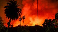 CALIFORNIA, USA - JANUARY 10: A view of wild fire as firefighting planes and helicopters drop water over flames in Mandeville Canyon during 'Palisades Fire' in Los Angeles, California, United States on January 10, 2025. (Photo by Tayfun Coskun/Anadolu via Getty Images)
