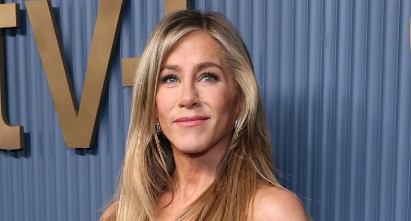 Jennifer Aniston's plans for next meeting with Brad revealed