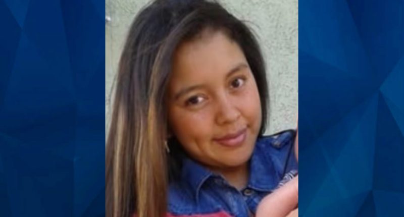 Jersey Mom, 2 Kids Stabbed to Death in Domestic Violence Attack