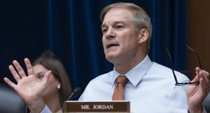 Jim Jordan on bringing TikTok back online: ‘Right now, the law is the law’
