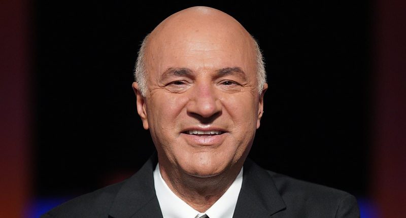 KEVIN O'LEARY: How I'll save TikTok