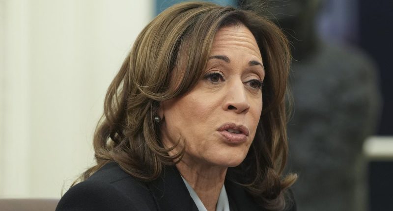 Kamala Harris mocked for word salad message to LA fire victims
