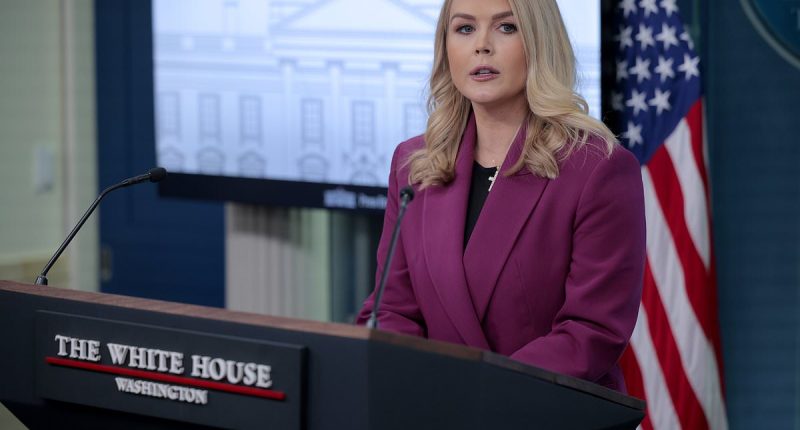 Karoline Leavitt earns new nickname after GMA's Michael Strahan quip