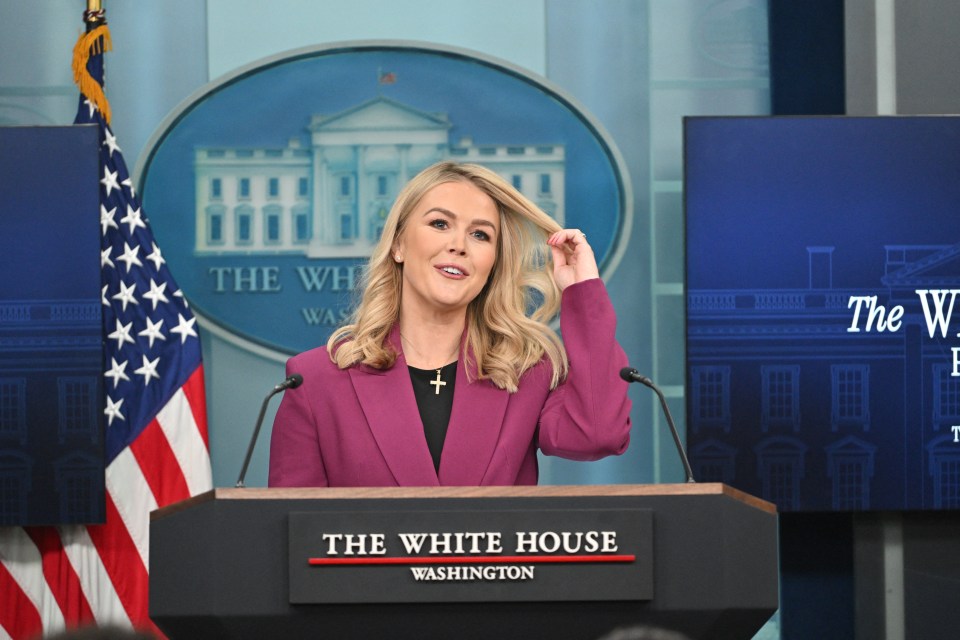 White House Press Secretary Karoline Leavitt at a press briefing.