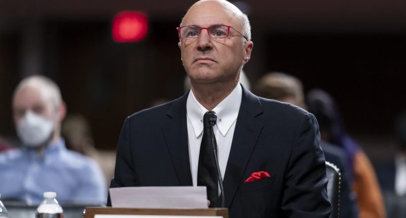 Kevin O'Leary says he's offering $20B cash for TikTok