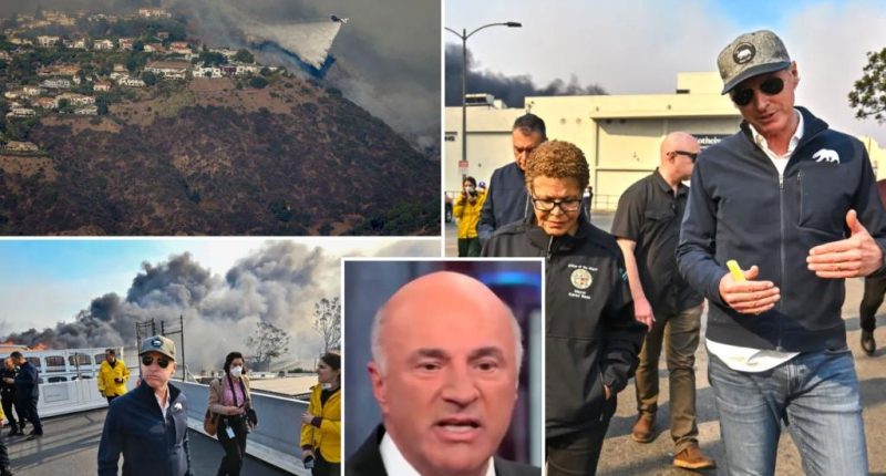 Kevin O'Leary doubles down on Bass, Newsom resignation call over LA Fires mishandling