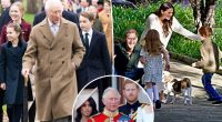 King Charles has 'great sadness' over no relationship with grandkids Archie, Lilibet: expert