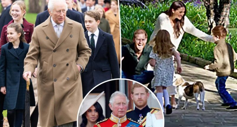 King Charles has 'great sadness' over no relationship with grandkids Archie, Lilibet: expert