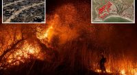 LA faces 'extreme fire risk' with return of strong winds