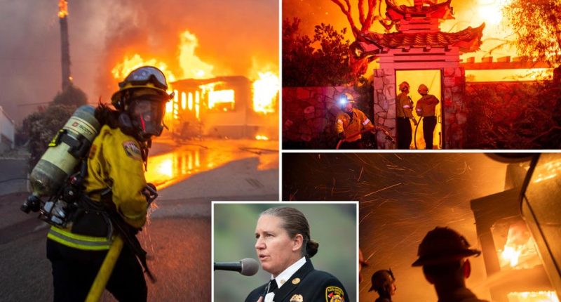 LA fire bosses chose not to deploy available engines, firefighters when Palisades Fire erupted: records