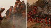 LA firefighters race to contain blazes as more winds may come