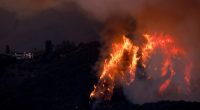 Smoke and fire billows from the Palisades Fire threatening homes in the Brentwood area of Los Angeles