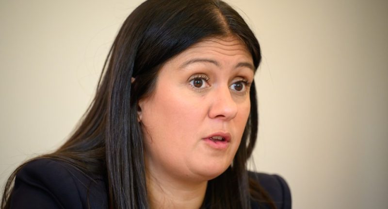 Lisa Nandy, Labour's Shadow Secretary of State for Levelling Up, Housing and Communities, speaking at a meeting.