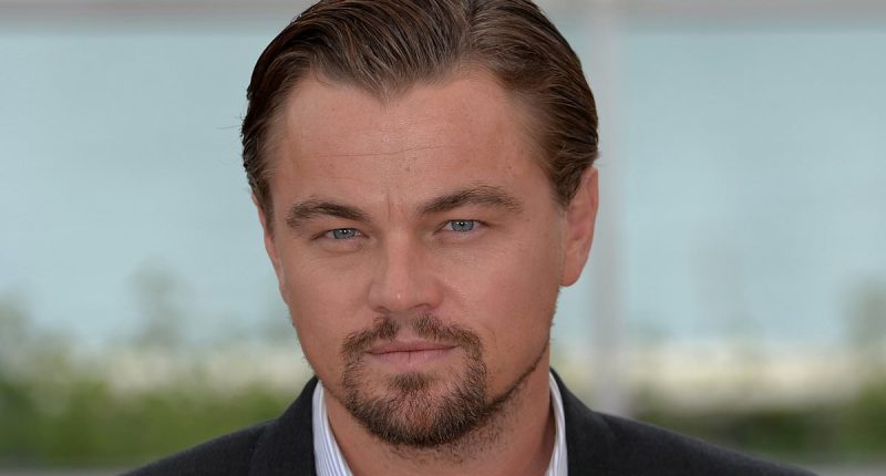 Leonardo DiCaprio and Vittoria Ceretti escape LA fires on private jet