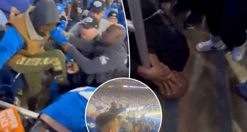 Lions fans stomp on man's head after he allegedly hit woman at game