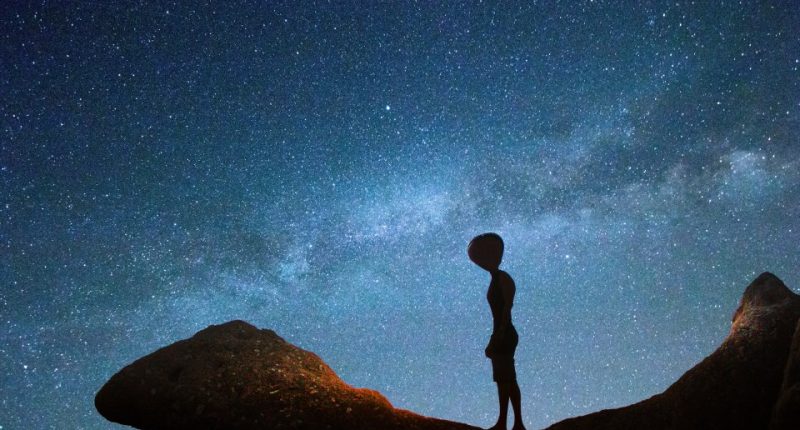 Illustration of an alien silhouetted against the Milky Way at night.