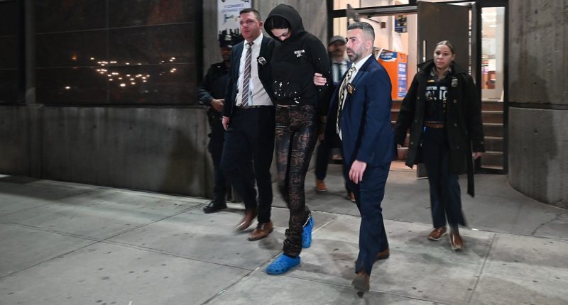 Mailman murder suspect with history of violence indicted in brazen lunch break attack