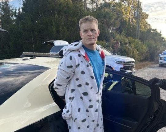 Man in Dalmatian onesie faces 13 charges after fleeing troopers with 1 handcuff on: FHP