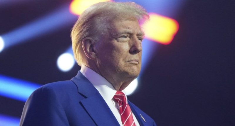Many Americans support Trump's agenda, but not the person: Survey
