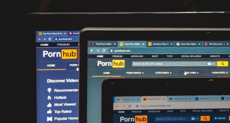 Floridians who want to watch adult content must now verify their age