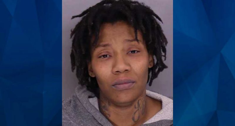 Maryland Mom Accused of Strangling 11-Year-Old Daughter With Plastic Drain Cleaner