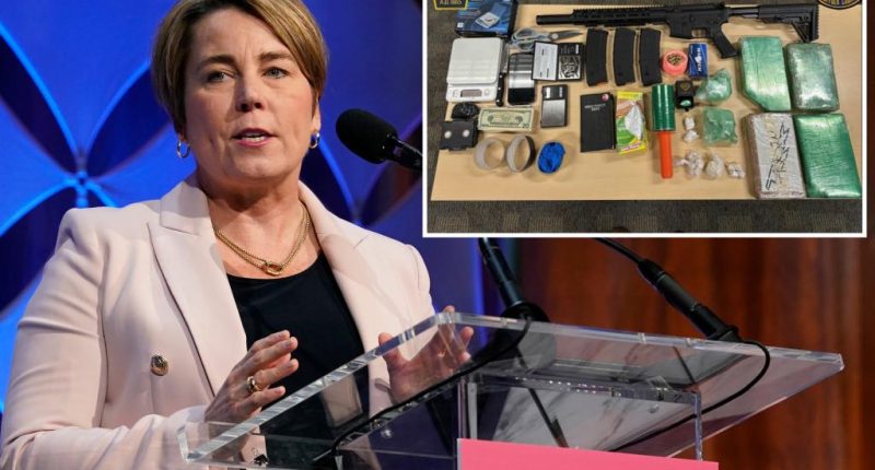 Massachusetts Gov. Healey orders inspection of state shelters after migrant arrest