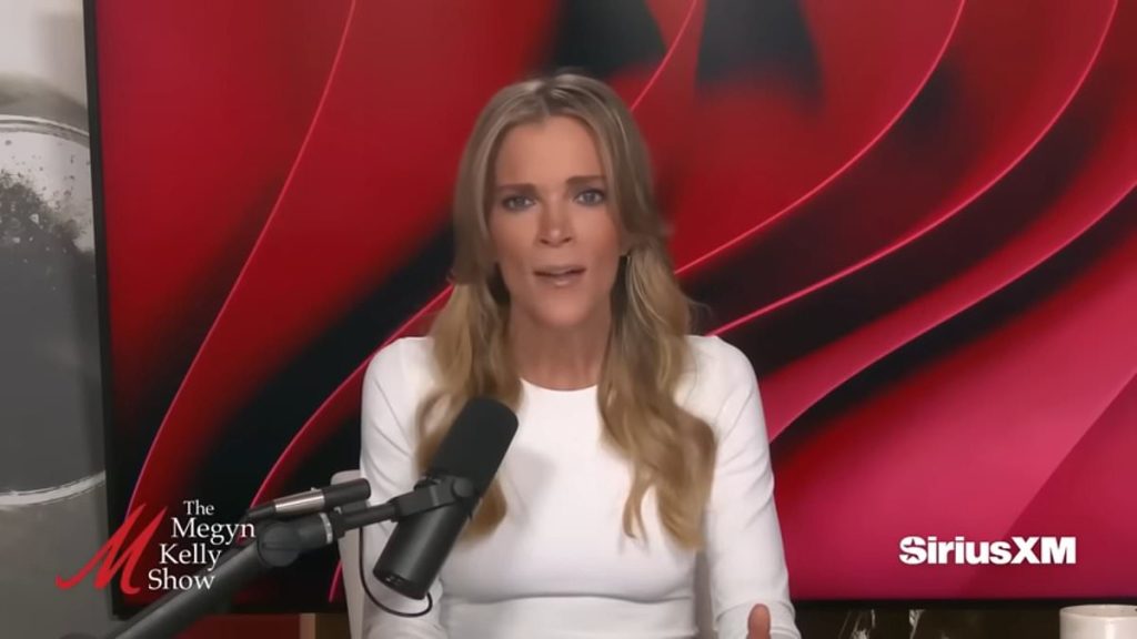 Megyn Kelly slams David Muir's 'abject vanity' after jacket gaffe