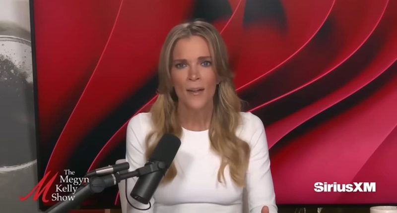 Megyn Kelly slams David Muir's 'abject vanity' after jacket gaffe