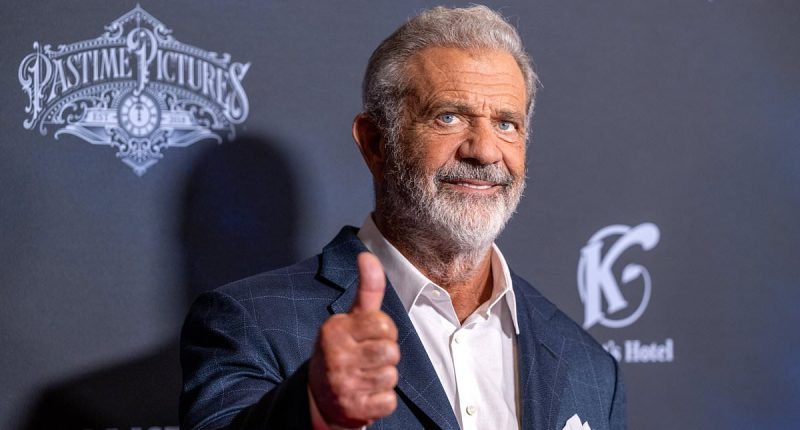 Mel Gibson shocks viewers with 'daddy' Trump comment